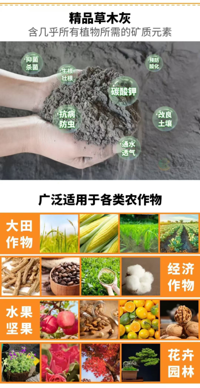 http://st-static1.zhouxiaoxiao.com/forums/2025/09/06/17571689923312.png