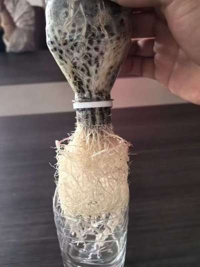 年销售量三十万吨的有机肥生产厂家，全国网点发货，资质齐全，正品保障！有机肥、生物菌肥、微生物肥料等