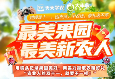 丰农控股2025年 &ldquo;最美果园&rdquo;&ldquo;最美新农人&rdquo; 评选活动启动，助力农业风采展示