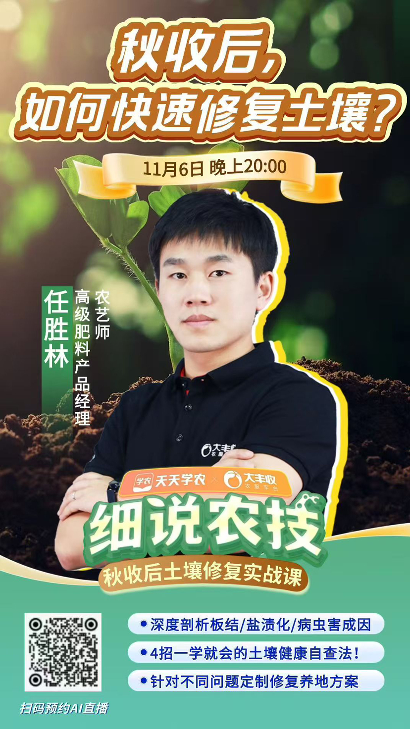 http://st-static1.zhouxiaoxiao.com/forums/2025/11/05/17623094603355.png