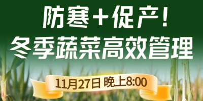 《细说农技》专家张宝林教冬季蔬菜防寒 + 促产高效管理，27 日晚 8 点！