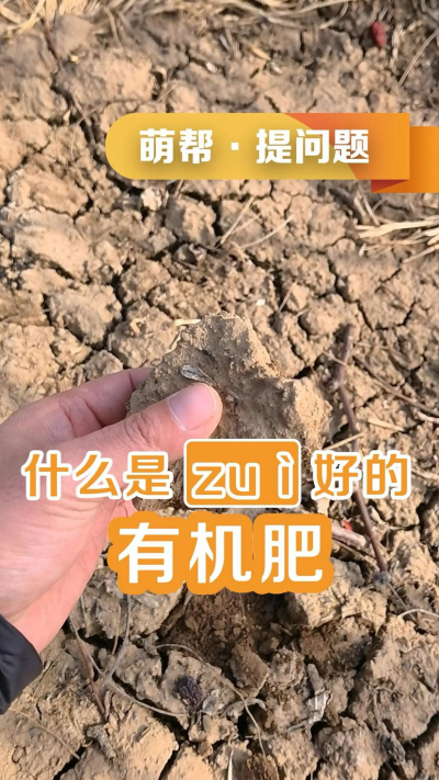 什么是最好的有机肥