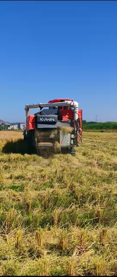 惠州基地，无人拖拉机收水稻了。
