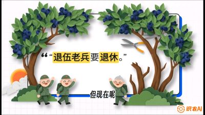 第7节：修剪决定产量（下）&mdash;&mdash;结果树的更新与疏果，课程：《蓝莓&ldquo;高产&rdquo;实战课：从选苗到丰收的10个关键点》