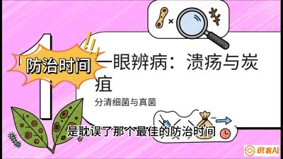 第三节：细菌与真菌&mdash;&mdash;溃疡病与炭疽病，课程：《柑橘十大病虫害：从入门到精通》