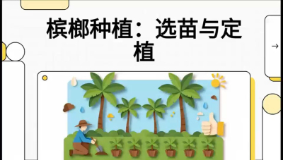 第01节：选苗与定植&mdash;&mdash;&ldquo;苗好一半收，底肥定千秋&rdquo;课程：《槟榔种植：从不懂到精通的10堂必修课》