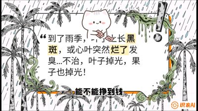 第05节：常见真菌病害&mdash;&mdash;&ldquo;炭疽与烂心，早防值千金&rdquo;《槟榔种植：从不懂到精通的10堂必修课》