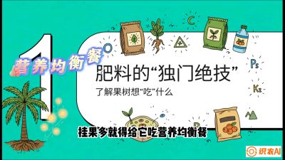 第07节：科学施肥&mdash;&mdash;&ldquo;氮磷钾配好，树壮果不倒