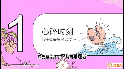 第08节：微量元素与保果&mdash;&mdash;&ldquo;补硼又补钙，果子不裂坏&rdquo;《槟榔种植：从不懂到精通的10堂必修课》