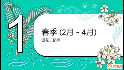 第10节：周年农事日历&mdash;&mdash;&ldquo;跟着节气走，丰产在手头&rdquo;《槟榔种植：从不懂到精通的10堂必修课》