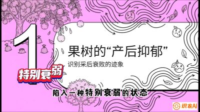 第2节：【冬肥策略】采后&ldquo;月子肥&rdquo;：大小年的精准干预术，课程：《柑橘底肥&ldquo;翻身账&rdquo;：从改土到高产的实战全书》