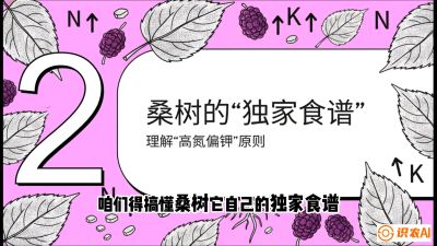 第04节：地下核动力&mdash;&mdash;桑树专用水肥一体化配方，课程：《桑海淘金：桑树高产与蚕桑安全进阶实战课》