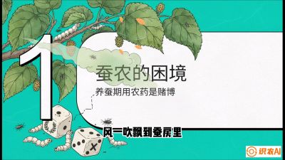 第06节：虫口夺叶（上）&mdash;&mdash;物理与生物防控绝技，课程《桑海淘金：桑树高产与蚕桑安全进阶实战课》