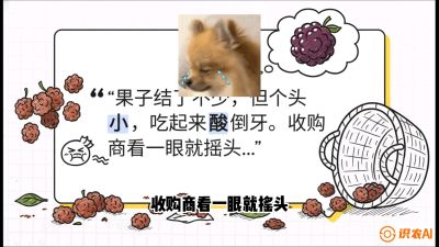 第10节：甜蜜的科学&mdash;&mdash;膨大、增甜与转色，课程：《桑海淘金：桑树高产与蚕桑安全进阶实战课》