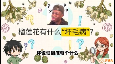 第六节：榴莲的午夜战事，夜间授粉战与花果期避雨策略，课程：《国产榴莲突围战：从泰国经验到中国实操的8堂必修课（高阶实战版）》