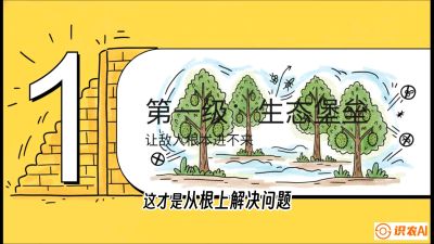 第七节：榴莲防御战：病虫害三级立体防控，疫霉菌与虫害的立体封锁线，课程：《国产榴莲突围战：从泰国经验到中国实操的8堂必修课（高阶实战版）》