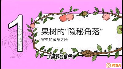 第3节：无人机专治&ldquo;打不透&rdquo;&mdash;&mdash;果树与高杆作物的穿透技巧，课程：《无人机植保搞钱必修课：从&ldquo;瞎飞&rdquo;到&ldquo;懂行&rdquo;的6步进阶》