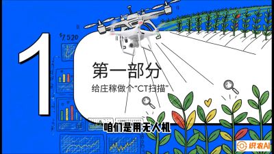 第5节：无人机也能&ldquo;看病抓药&rdquo;&mdash;&mdash;处方图与变量施肥入门，课程：《无人机植保搞钱必修课：从&ldquo;瞎飞&rdquo;到&ldquo;懂行&rdquo;的6步进阶》
