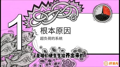 第三节：【爆款单品&middot;加州鲈】从&ldquo;玻璃鱼&rdquo;到&ldquo;摇钱树&rdquo;的通关秘籍，课程：《黄金鳞甲：2025中国淡水鱼高效养殖实战营》