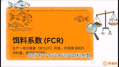 第五节：【高端单品&middot;鳜鱼】&ldquo;饲料鳜&rdquo;技术：打破吃活饵的高成本魔咒，课程：《黄金鳞甲：2025中国淡水鱼高效养殖实战营》