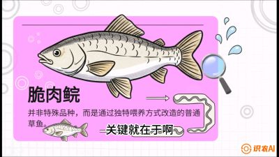 第六节：【老品升级&middot;脆肉鲩】如何让草鱼身价翻倍？，课程：《黄金鳞甲：2025中国淡水鱼高效养殖实战营》