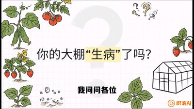 第2节（解毒篇）： 大棚里的&ldquo;红白绿&rdquo;警报&mdash;&mdash;读懂土壤盐渍化的求救信号，课程：《揭秘土壤的秘密：让土地帮你赚钱》#识农AI