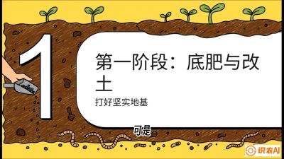 第6节（统筹篇）： 省钱又增产的&ldquo;黄金配比&rdquo;&mdash;&mdash;不同作物全年的养土实操方案，课程：《揭秘土壤的秘密：让土地帮你赚钱》#识农AI