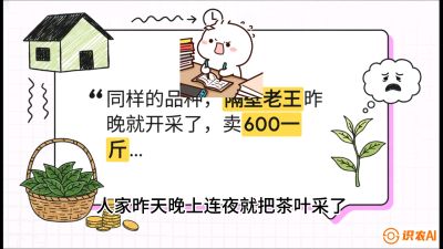 第01节（抢早篇）：与老天爷抢饭吃：如何利用&ldquo;温差阈值&rdquo;让头采茶提前5天上市？，课程：《茶金时代：从&ldquo;看天吃饭&rdquo;到&ldquo;精准控局&rdquo;的茶叶高产提质实战课》