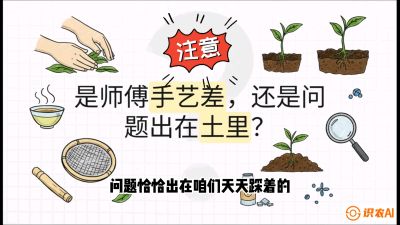 第02节（土肥篇）：告别&ldquo;苦涩水味&rdquo;：揭秘&ldquo;碳氮比&rdquo;调控术，种出自带兰花香的好茶底，课程：《茶金时代：从&ldquo;看天吃饭&rdquo;到&ldquo;精准控局&rdquo;的茶叶高产提质实战课》