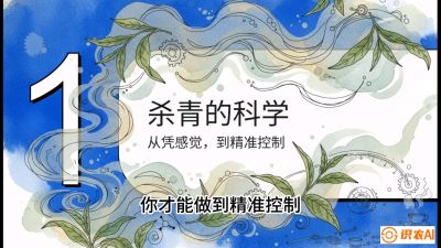 第05节（加工篇）：决胜2分钟：用&ldquo;数字温控&rdquo;破解杀青不匀，复刻大师级手工口感，课程：《茶金时代：从&ldquo;看天吃饭&rdquo;到&ldquo;精准控局&rdquo;的茶叶高产提质实战课》