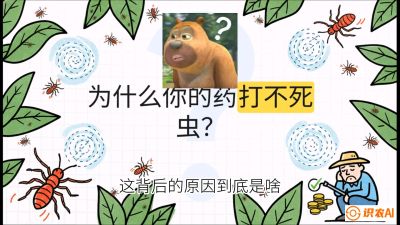 第4节：【虫害歼灭战】打不死的蓟马、隐形的茶黄螨：抗性时代的&ldquo;混配绝杀&rdquo;，课程：《辣椒种植实战特训营，从工业辣椒到精品小米辣，教你如何把&ldquo;草&rdquo;种成&ldquo;金&rdquo;》