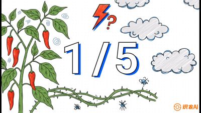 第6节：【花果爆发术】落花落果的五大元凶，与&ldquo;三喷一保&rdquo;坐果黑科技，课程：《辣椒种植实战特训营，从工业辣椒到精品小米辣，教你如何把&ldquo;草&rdquo;种成&ldquo;金&rdquo;》