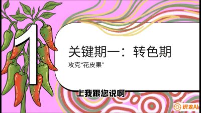 第8节：【小米辣线椒专场】颜值即正义！防花皮、防炭疽，打造收购商抢着要的&ldquo;精品果&rdquo;，课程：《辣椒种植实战特训营，从工业辣椒到精品小米辣，教你如何把&ldquo;草&rdquo;种成&ldquo;金&rdquo;》
