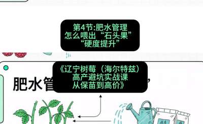 第四节： 肥水管理&mdash;&mdash;怎么喂出&ldquo;石头果&rdquo;（硬度提升），课程：《辽宁树莓（海尔特兹）高产避坑实战课：从保苗到高价》
