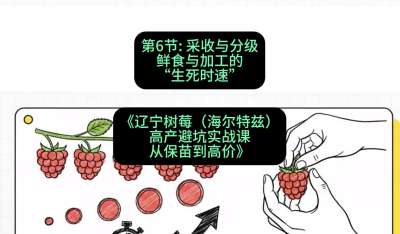 第六节： 采收与分级&mdash;&mdash;鲜食与加工的&ldquo;生死时速&rdquo;，课程：《辽宁树莓（海尔特兹）高产避坑实战课：从保苗到高价》