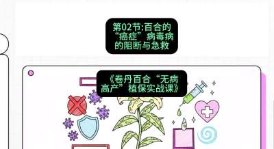 第02节：百合的&ldquo;癌症&rdquo;&mdash;&mdash;病毒病的阻断与急救，课程：《卷丹百合&ldquo;无病高产&rdquo;植保实战课》#识农AI