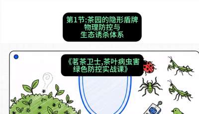 第01节：茶园的&ldquo;隐形盾牌&rdquo;&mdash;&mdash;物理防控与生态诱杀体系，课程：《茗茶卫士&mdash;&mdash;茶叶病虫害绿色防控实战课》#识农AI