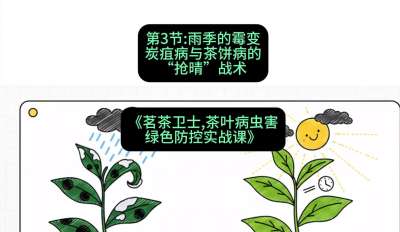 第03节：雨季的霉变&mdash;&mdash;炭疽病与茶饼病的&ldquo;抢晴&rdquo;战术，课程：《茗茶卫士&mdash;&mdash;茶叶病虫害绿色防控实战课》#识农AI