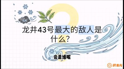 第04节：龙井双璧&mdash;&mdash;龙井43与群体种的差异化护养（重点），课程：《茗茶卫士&mdash;&mdash;茶叶病虫害绿色防控实战课》#识农AI