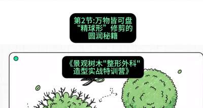 第02节：万物皆可盘&mdash;&mdash;&ldquo;精球形&rdquo;修剪的圆润秘籍，课程：《景观树木&ldquo;整形外科&rdquo;造型实战特训营》#识农AI