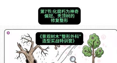 第07节：化腐朽为神奇&mdash;&mdash;偏冠、秃顶树的修复整形，课程：《景观树木&ldquo;整形外科&rdquo;造型实战特训营》#识农AI