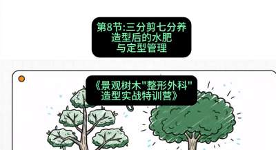 第08节：三分剪七分养&mdash;&mdash;造型后的水肥与定型管理，课程：《景观树木&ldquo;整形外科&rdquo;造型实战特训营》#识农AI