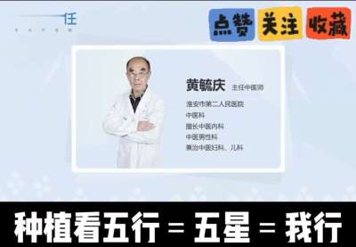 中药材淫羊藿怎么种？听专家一次讲明白！不挑地块好管理，耐寒耐旱省心省力，新手也能轻松上手，药用价值高、市场需求稳，妥妥的增收好品种～ 从生长习性到采收要点，干货满满无废话，种植疑问直接问，一对一答疑解
