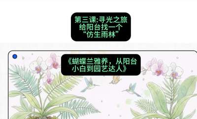 第三节：寻光之旅：给阳台找一个&ldquo;仿生雨林&rdquo;，课程：《蝴蝶兰雅养六讲：从阳台小白到园艺达人》#识农AI