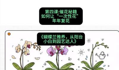 第四节：催花秘籍：如何让&ldquo;一次性花&rdquo;年年复花，课程：《蝴蝶兰雅养六讲：从阳台小白到园艺达人》#识农AI