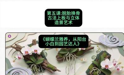 第五节：脱胎换骨：古法上板与立体造景艺术，课程：《蝴蝶兰雅养六讲：从阳台小白到园艺达人》#识农AI