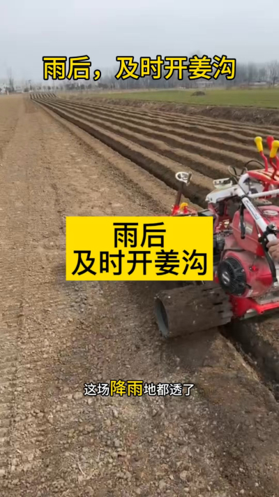 雨后，及时开姜沟！