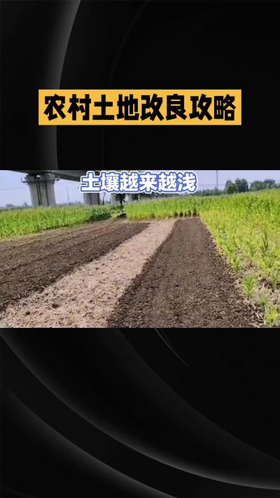 1. 先搞懂：你到底要改良哪块地、种什么
 
- 土土土在哪里？
就是你自家农田、菜地、果园，哪块地想种庄稼，就测哪块地的土。
​
- 有水没有水？
有水能浇：改良更省事，施肥、调酸碱都好操作。
没水