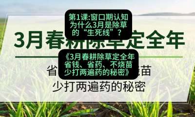 第1节：窗口期认知，为什么3月是除草的&ldquo;生死线&rdquo;？，课程：《3月春耕除草定全年：省钱、省药、不烧苗、少打两遍药的秘密》